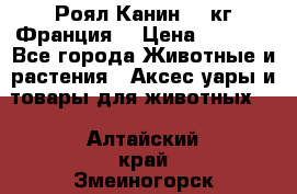  Роял Канин 20 кг Франция! › Цена ­ 3 520 - Все города Животные и растения » Аксесcуары и товары для животных   . Алтайский край,Змеиногорск г.